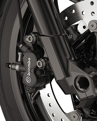ABS Pro a DTC modelu F 800 GS
